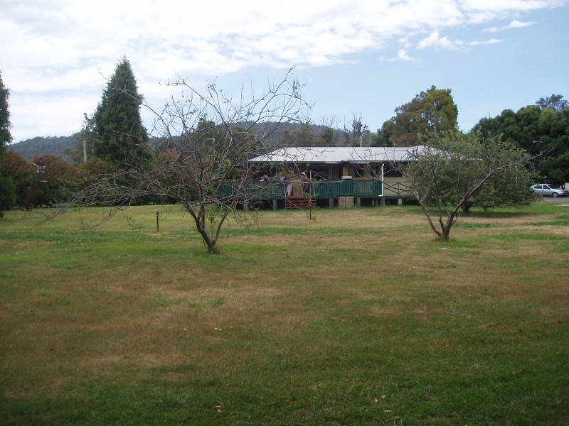 Spring Waters - Down the back yard