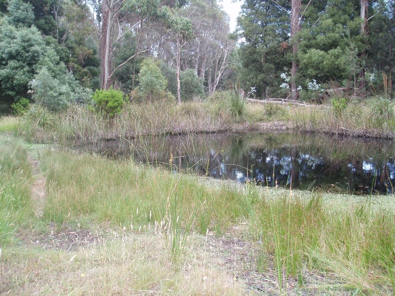 Spring Waters - Another view of the dam