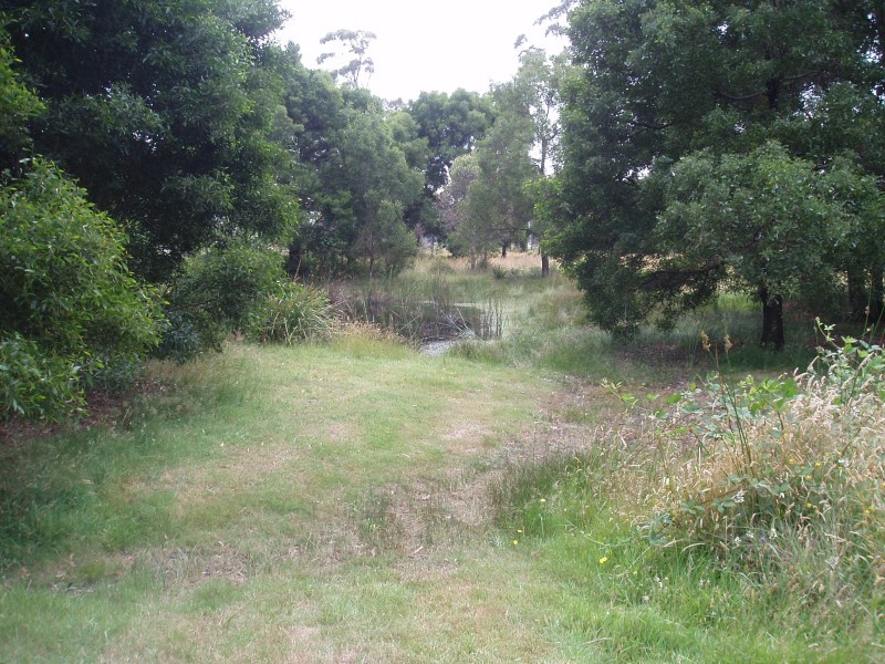 Spring Waters - Looking back to the dam