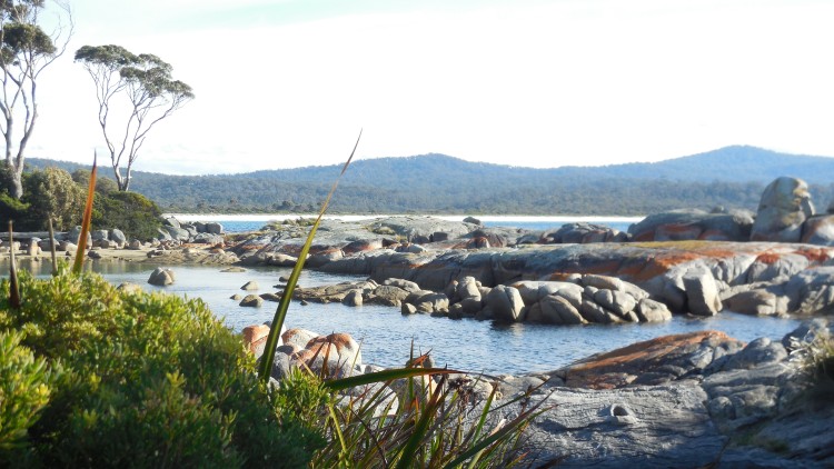 Granite Rocks with Lichen