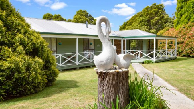 Homestead front with swans