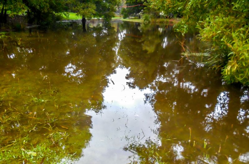 Our dam grows quite large during the west season