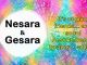 Nesara & Gesara in simple words