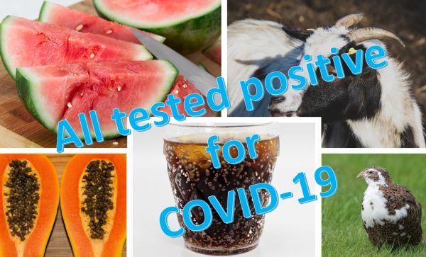 tested positive to Covid-19