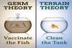 germ and virus theory