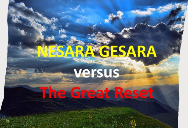 Nesara explanation