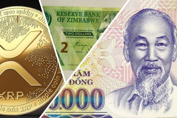 zim and dong currencies